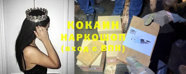 стаф Нея