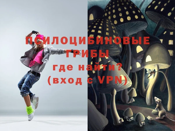 мяу мяу мука Весьегонск